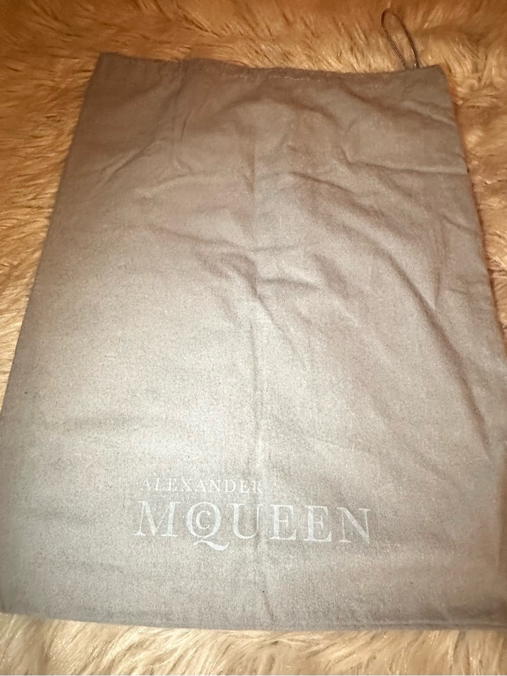 Alexander McQueen Women's Gray Dust Bag